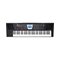 ROLAND BK-3 BK Синтезатор