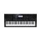 CASIO CTK-7200 Синтезатор